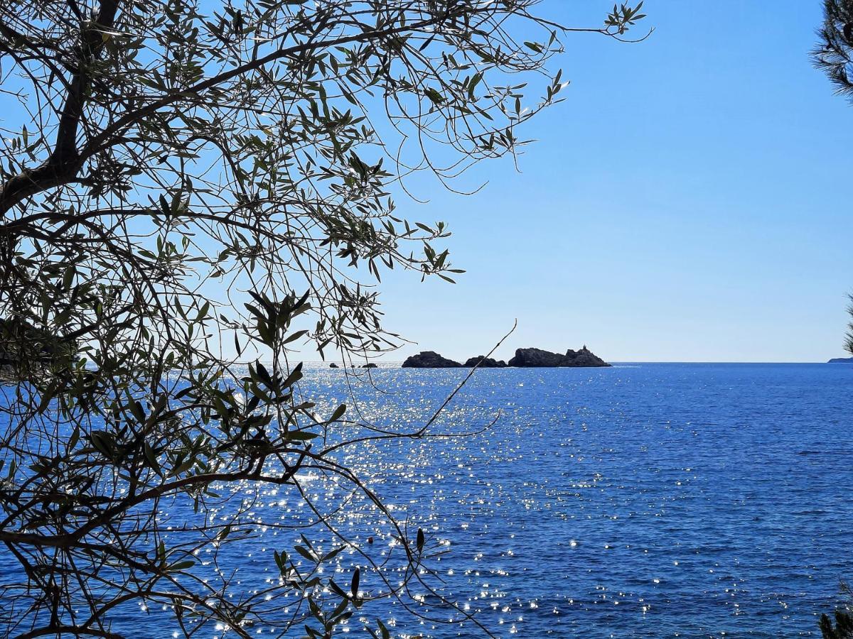Blue Promenade Apartments Dubrovnik Luaran gambar